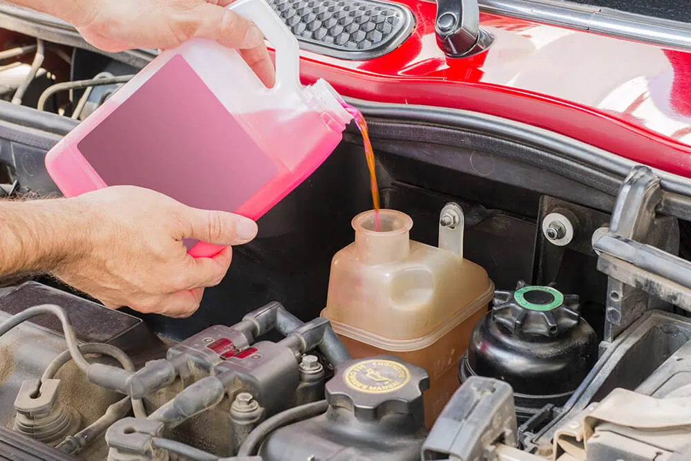 What to Do if Your Vehicle Is Water Logged